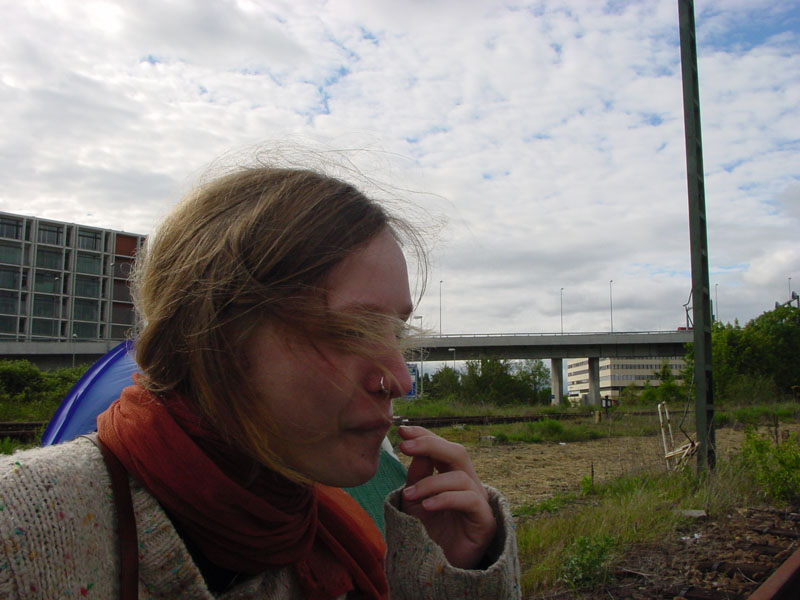 DSC02348.JPG
